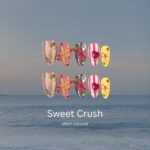 Endless Summer - Image 12