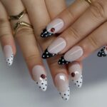 Ladybug - Image 3