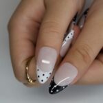 Ladybug - Image 5